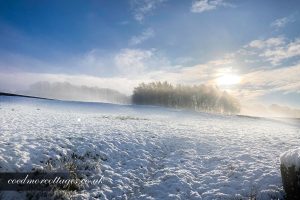 Misty snowscape Carmarthenshire