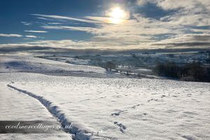 Snowscape Ceredigion