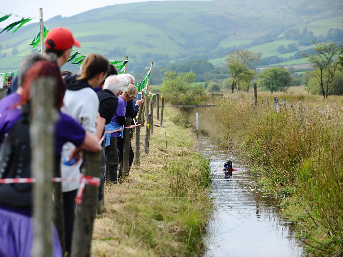 Events in Mid Wales 2024 bog snorkelling