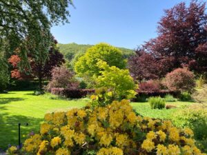 Attractions mid west Wales - Gardens