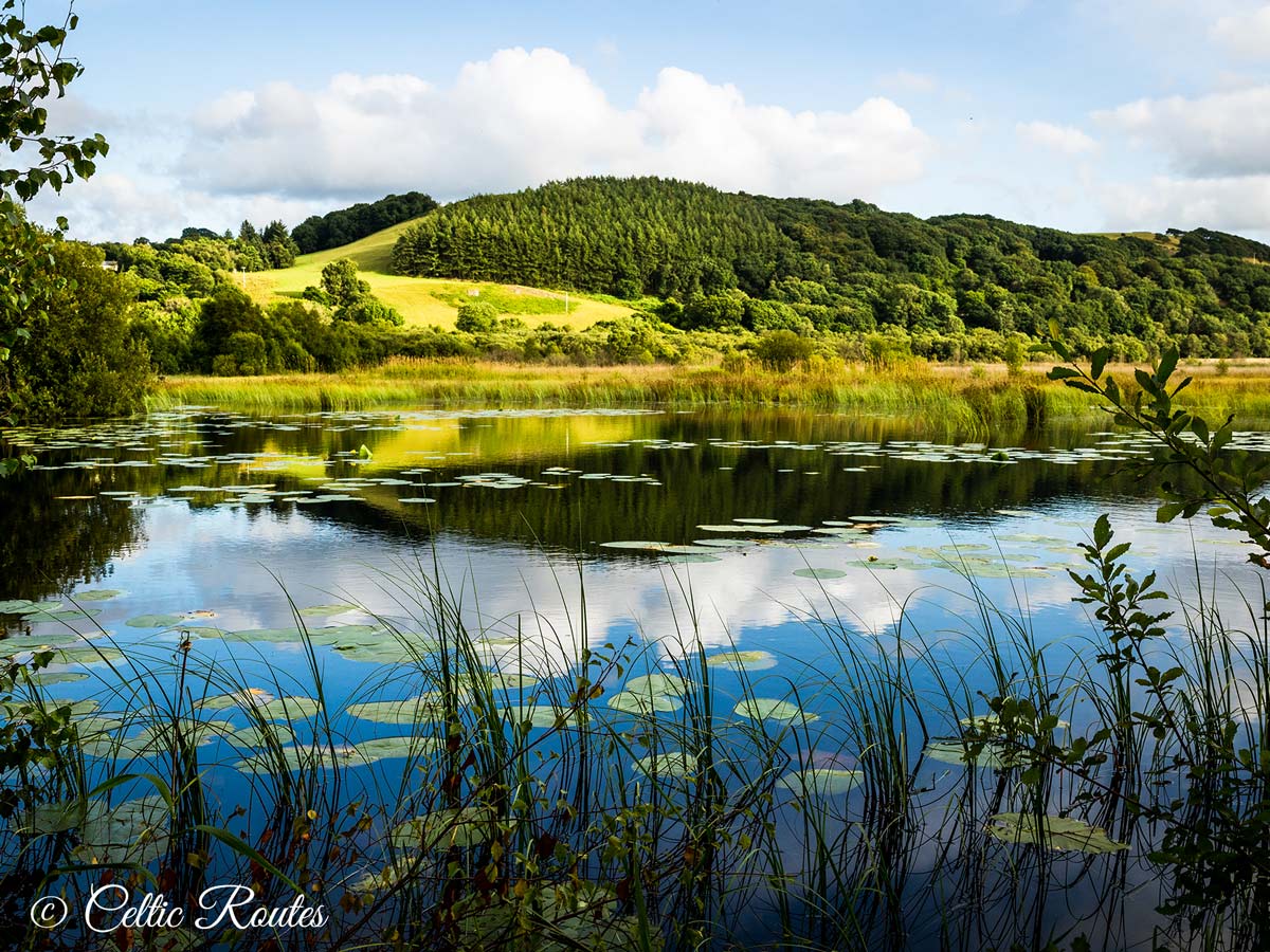 Cors Caron Wildlife & Nature in Mid West Wales.
