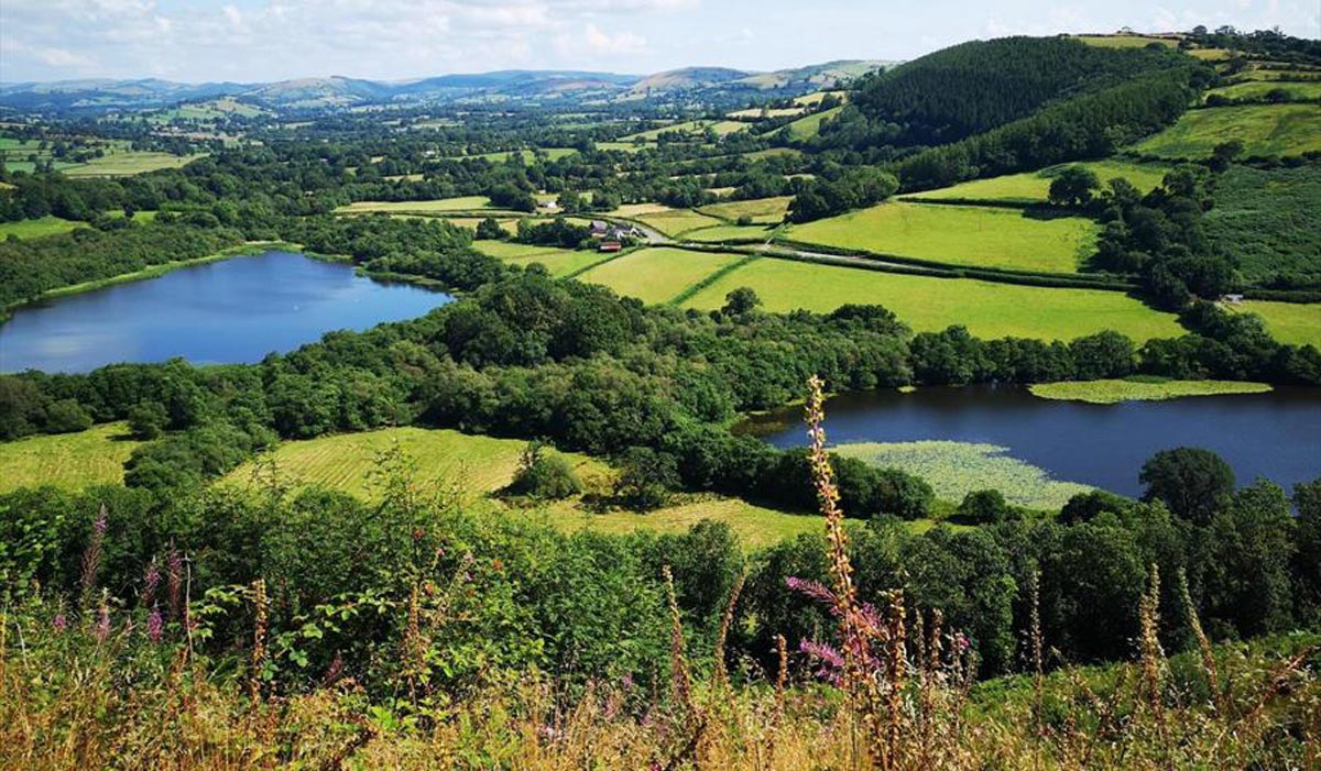 Talley lakes and woodland, Welsh Wildlife and nature