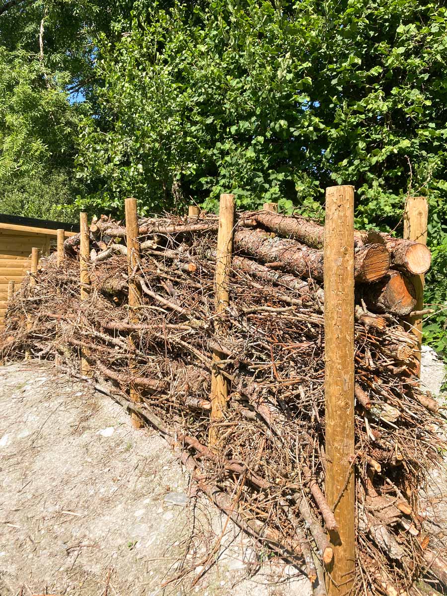 Dead Hedge screening at the Bird Hide