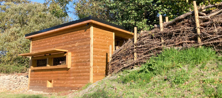 Building a Bird Hide at Coedmor Cottages