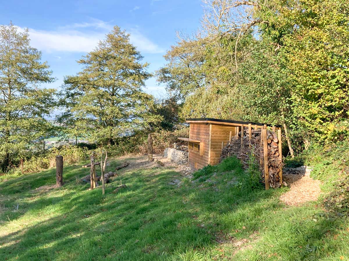 Building a bird hide