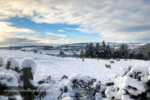 snowscape in carmarthenshire