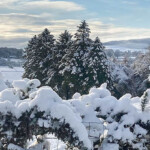 Videos & Timelapses Wales