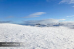 Snow December 2020