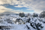 snowy landscape in carmarthenshire