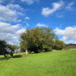 Beautiful walks up the hill