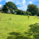 Garden Meadow at Coedmor Cottages