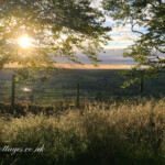 Sunset from Garden Meadow