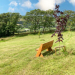 Bench in beautiful green meadow